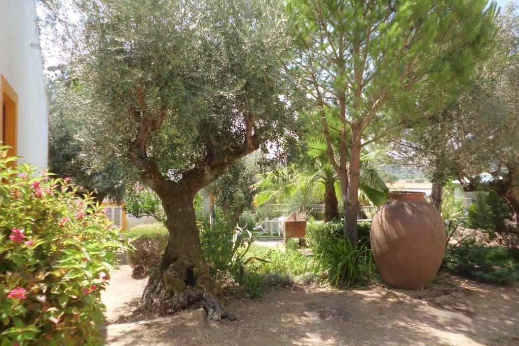 Quinta Do Pinhal Villa Constancia Exterior photo